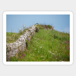 Wembury Dry Stone Wall Sticker